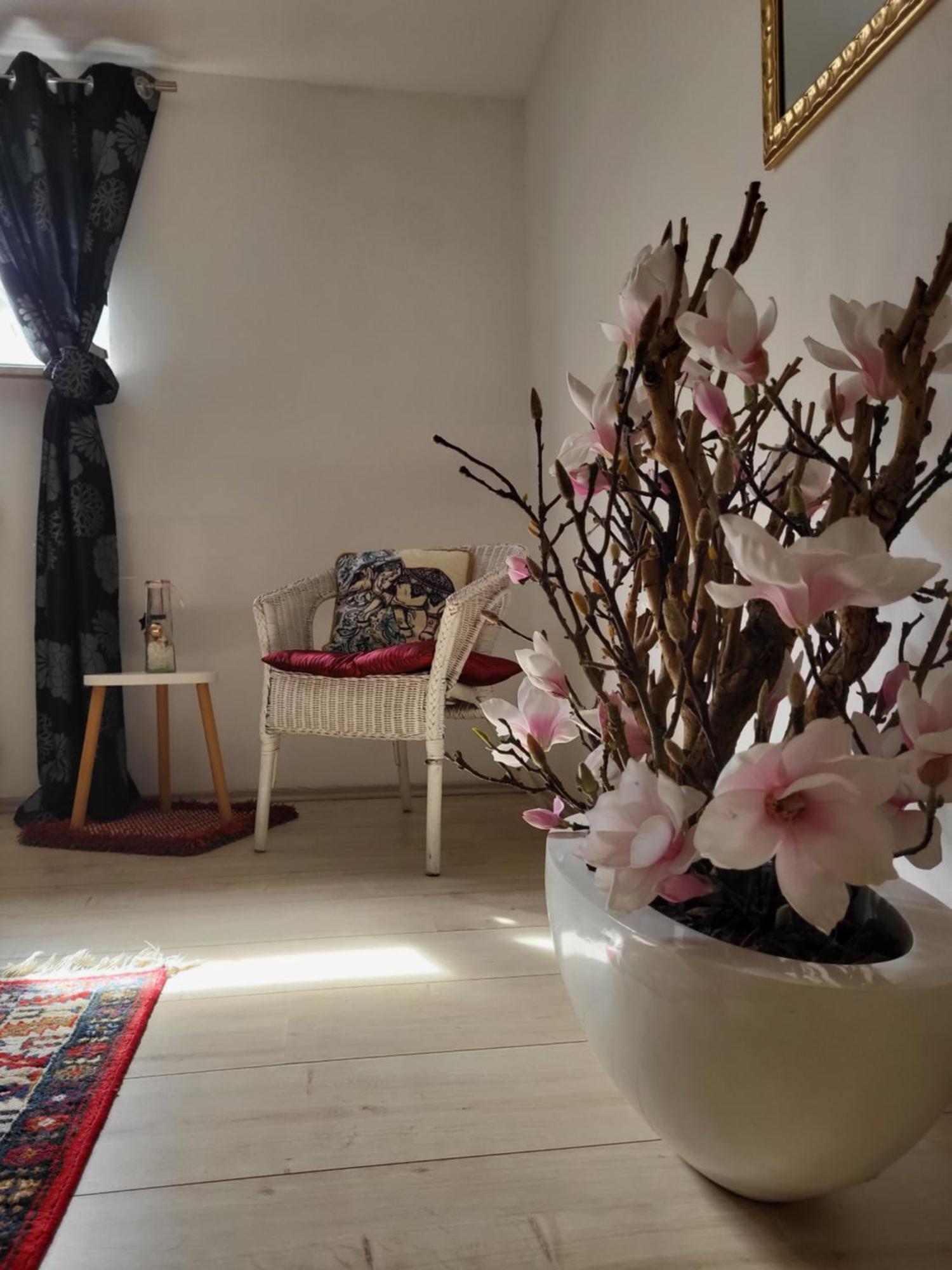 Mandelas Cozy Lounge Apartment Schmelz Екстериор снимка